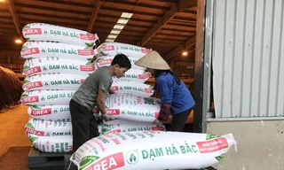 Sau 6 tháng đầu năm 2020, sau khi trừ đi các khoản chi phí, Công ty Cổ phần Hóa chất và Phân đạm Hà Bắc bị lỗ ròng 693 tỷ đồng, gấp hơn 3 lần khoản lỗ cùng kỳ năm 2019 