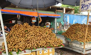 Nhãn được bày bán tại Hà Nội