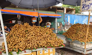 Nhãn được bày bán tại Hà Nội