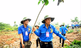 Đại hội có nhiều hoạt động an sinh xã hội, hướng về cộng đồng. (Trong ảnh, các đại biểu Đại hội thanh niên làm theo lời Bác lần thứ V tham gia trồng cây thực hiện công trình thanh niên) Ảnh: Xuân Tùng