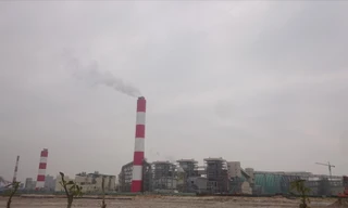 Sau sự cố Formosa gây cá chết ở 4 tỉnh miền Trung năm 2016, vai trò của báo cáo đánh giá tác động môi trường gây tranh cãi nhiều 