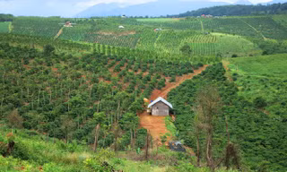 Một khu đất thuộc rừng phòng hộ đầu nguồn Krông Năng( Đắk Lắk)