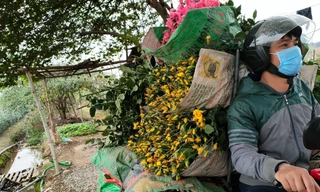 Người dân tìm đủ cách tiêu thụ hoa 