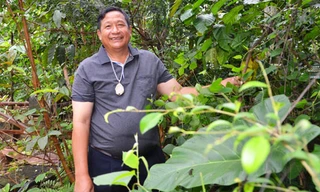 Khăm Phết trong vườn cây thuốc tự trồng