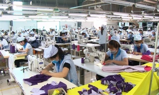 Có 76.000 doanh nghiệp bổ sung thông tin sau khi Tổng cục Thống kê điều tra lại quy mô GDP ảnh minh họa 