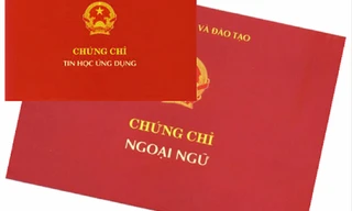 Những chứng chỉ đang có “tác dụng hành” giáo viên, giảng viên?