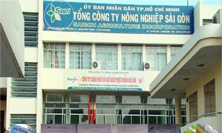 Liên quan sai phạm của Sagri, giám đốc và kế toán trưởng của Cty Lữ hành Hòa Bình Quốc tế và Cty du lịch Thanh niên xung phong bị bắt