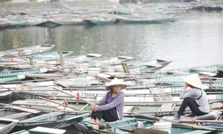 Nữ lái đò Tam Cốc, Bích Động thất nghiệp vì dịch COVID-19