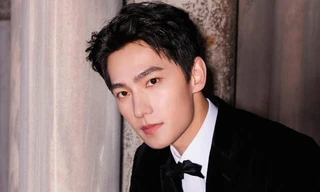 Vai diễn hủy hoại danh tiếng 15 năm của Dương Dương