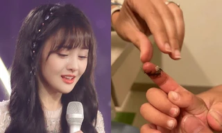 Trịnh Sảng bị tố bạo hành con