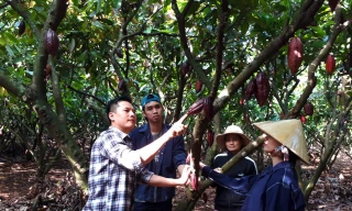 Trương Ngọc Quang hướng dẫn nông dân chăm sóc cacao. Ảnh: H.T.N