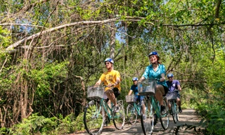 Du khách quốc tế càng cảm tình đặc biệt với Việt Nam trong bối cảnh đại dịch