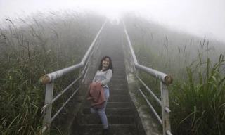 Tràng lau tại đường tuần tra hút khách. Ảnh: Nguyễn Dương