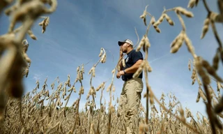 Một nông dân trồng đậu tương ở bang Illinois, Mỹ. ảnh: Reuters