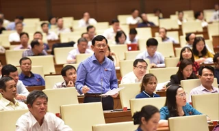 Đại biểu Nguyễn Ngọc Phương 