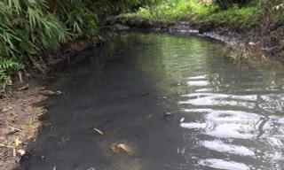 Truy tìm thủ phạm đổ trộm dầu thải gây ra sự cố nước sạch sông Đà 