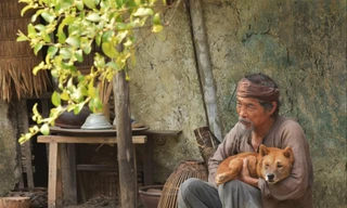 Nhân vật lão Hạc trong Cậu Vàng bị cho là đẫy đà một cách vô lý so với hoàn cảnh 