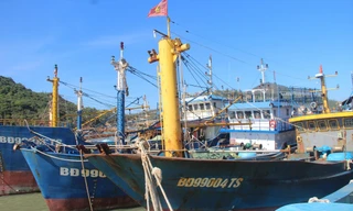 Nhiều tàu cá đóng theo Nghị định 67 “mắc cạn”, ngư dân không có tiền trả nợ ngân hàng và đối diện với việc hầu tòa. Ảnh: Bình Phương