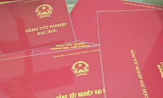 Miễn nhiệm chủ tịch HĐND thị xã không có bằng đại học