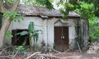 Cảnh hoang tàn, nhếch nhác của Di tích Văn Miếu Vinh 