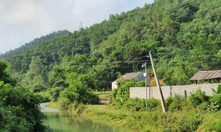 Lắp camera giám sát tại suối Trầm