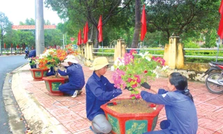 Nhiều chậu hoa, cây xanh được làm đẹp đường phố 