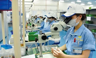 Bất chấp COVID-19, FDI vẫn 'chảy' vào Việt Nam: Điểm đến an toàn