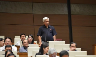 Đại biểu Dương Trung Quốc. Ảnh: Như Ý 