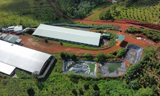  Bốn trang trại nuôi heo ở Đắk Nông bị xử phạt gần 1 tỷ đồng