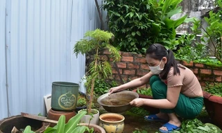 Đắk Lắk ghi nhận ca tử vong thứ 3 do sốt xuất huyết