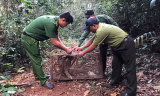 Đắk Nông thả nhiều động vật hoang dã, quý hiếm về rừng