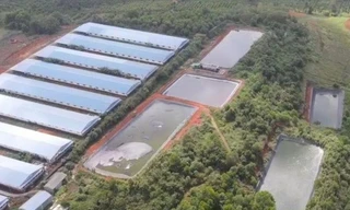 Doanh nghiệp nuôi lợn ở Đắk Nông bị xử phạt hơn 1,4 tỷ đồng