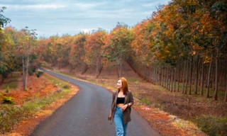 Rừng cao su mùa thay lá đẹp mê mẩn ở Tây Nguyên