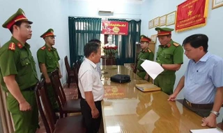 Phối giống bò 'trên giấy', 10 cán bộ bị khởi tố