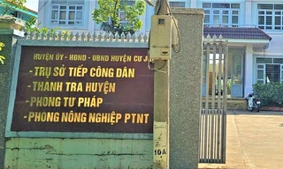 Trộm hoa giấy, Trưởng phòng Tư pháp ở Đắk Nông bị cách chức