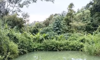 Bốn trẻ nhỏ ở Đắk Nông chết đuối khi tắm hồ