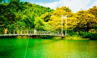 Phượng vàng phủ sắc, cầu treo ở Đắk Nông đẹp như tranh