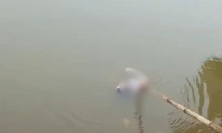 Phát hiện thi thể đang phân hủy ở đập chứa nước