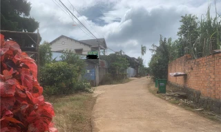 Khởi tố đối tượng dùng súng khống chế, ép bạn gái tự tử