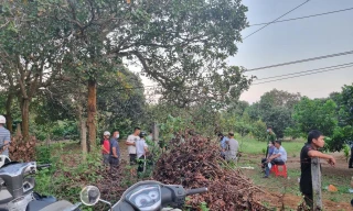 Đắk Lắk: Phát hiện thi thể đang phân hủy gần trường học