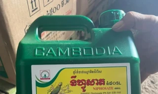 Phá đường dây nhập lậu lượng lớn thuốc bảo vệ thực vật không được sử dụng tại Việt Nam
