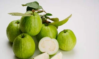 Chữa tiểu đường từ quả ổi