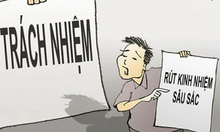 Bình Định: Cục trưởng Cục Quản lý thị trường, Bí thư Huyện ủy bị yêu cầu rút kinh nghiệm