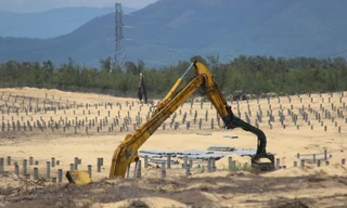 Thi công "nhầm", chặt phá, san ủi hơn 5ha rừng phòng hộ ven biển.