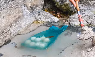 Du khách thích thú màn luộc trứng ở suối nước nóng 85 độ C