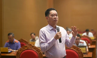 Thông tin việc nhiều doanh nghiệp ở Bình Định dừng hoạt động, giải thể