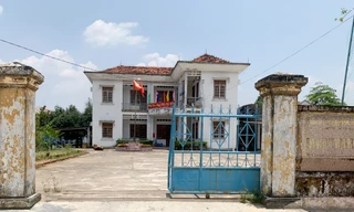 Bình Định chỉ đạo thanh tra, giám định thiệt hại rừng trồng