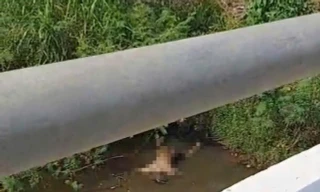 Bình Định: Phát hiện thi thể nam giới đang phân hủy nổi trên mặt nước