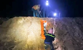 Lên núi tìm cây thuốc, người phụ nữ ở Bình Định bị ong đuổi đốt, ngã tử vong