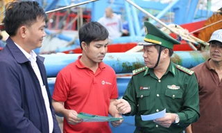 Bình Định: Thành lập ngay 3 tổ công tác để tuần tra, xử lý tàu cá vi phạm